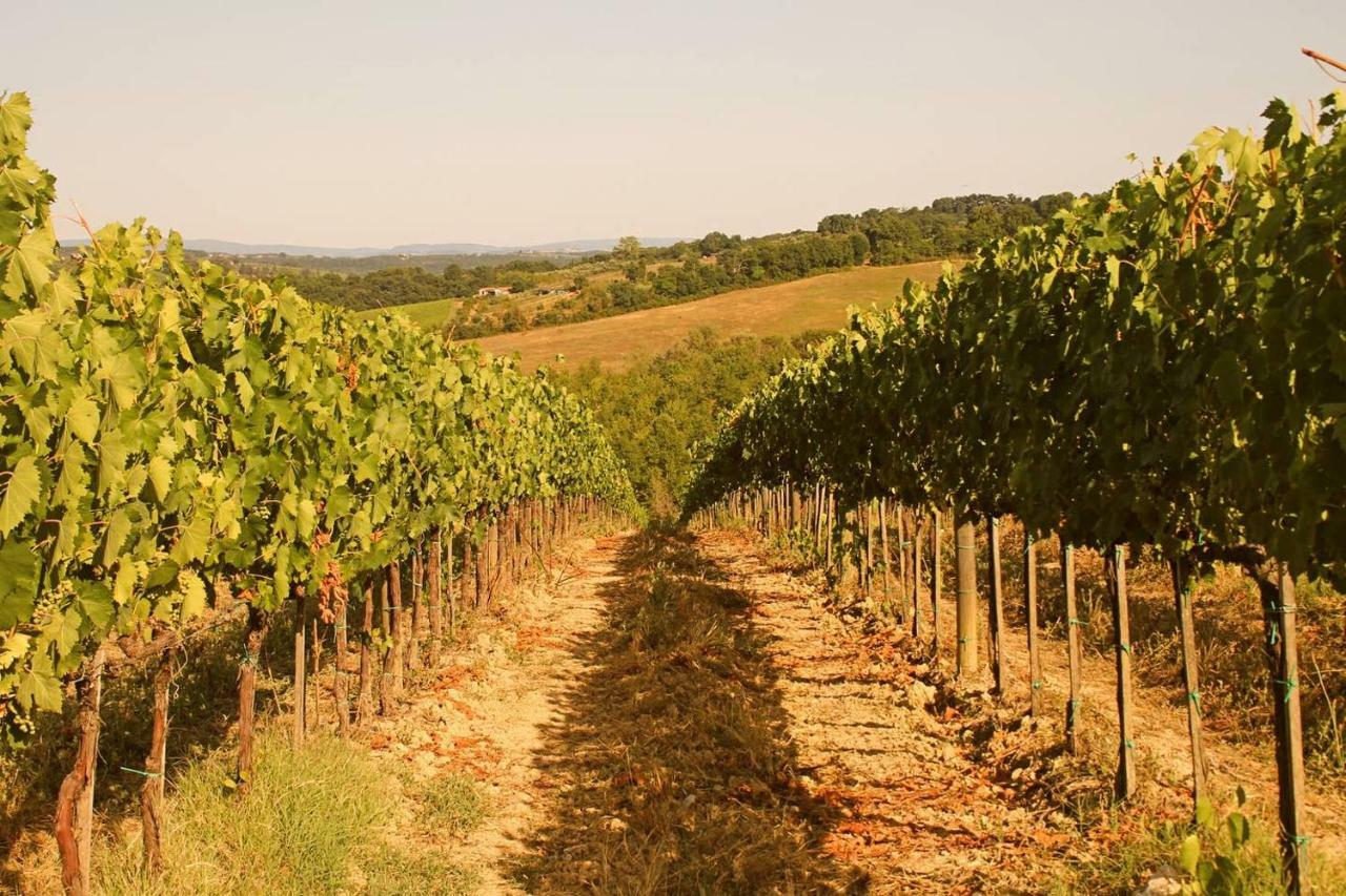 Il Cantuccio Nel Chianti